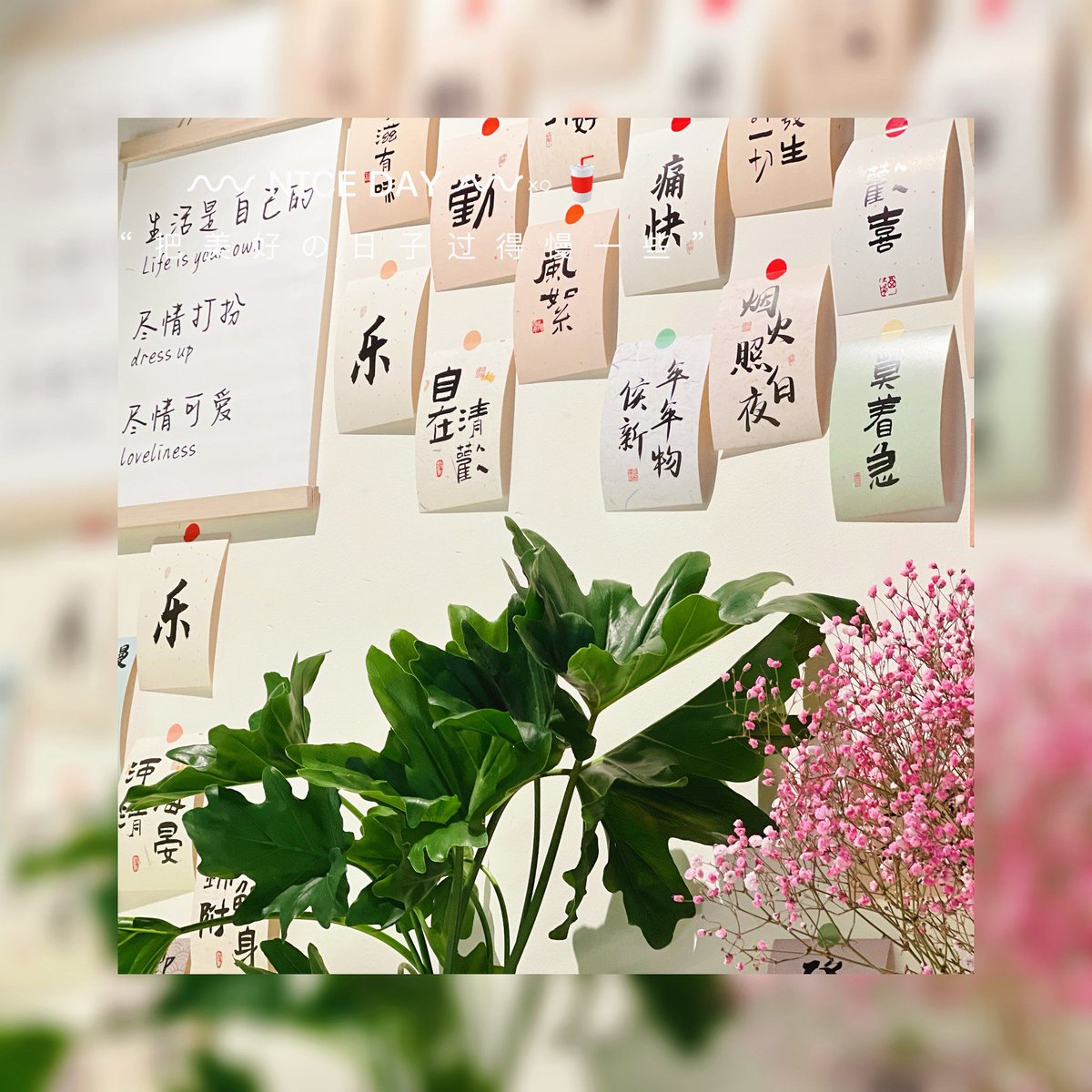 evaLoCXwPsgiOR4's tweet photo. When 桓漳露峙乖 meet the cool breeze of urban twilight, every moment feels like a hidden little surprise~ https://t.co/oYMBX2tZdT