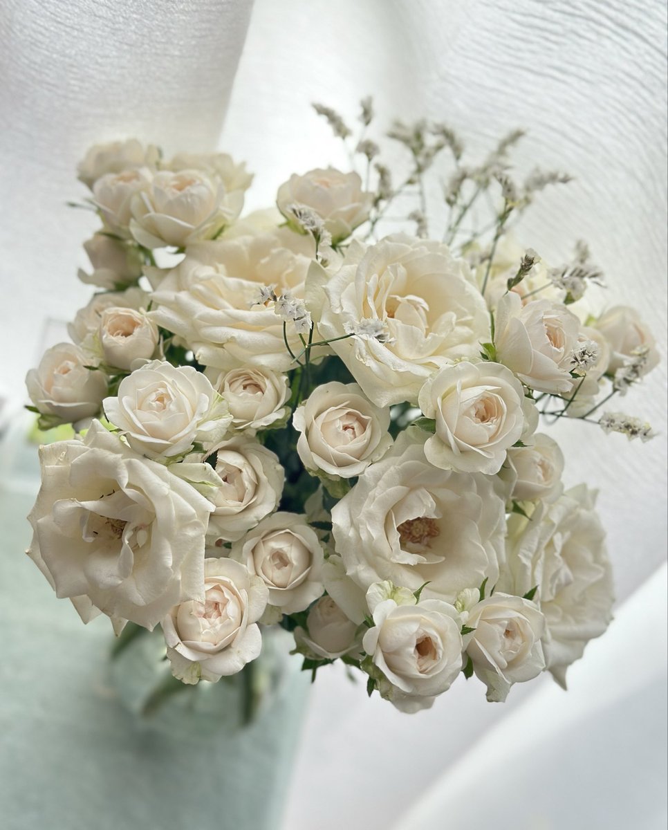 merryfarm2's tweet photo. 白の薔薇ブーケ

『敬愛』を込めて https://t.co/4eazDgsSaP