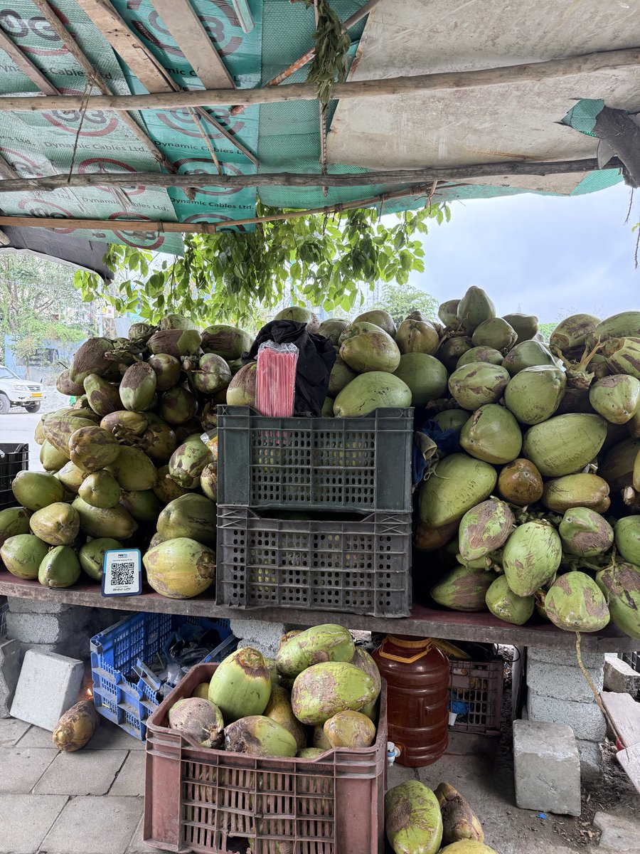 heykavsthere's tweet photo. Nothing beats feeling of morning run and coconut water post it #bangalorerun https://t.co/kJaYyas9mx