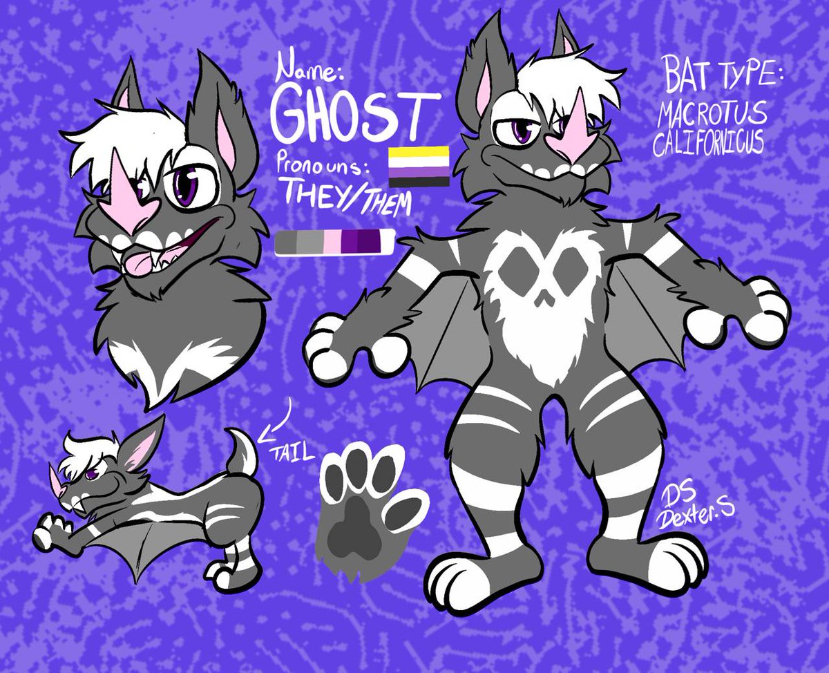 GH0ST_the_bat's tweet photo. Heads up this is sfw and NSFW account 
🔞MDNI🔞!they/them 🦇
🎨&amp; owner: @DEXSMEX_DS 
Can be suggestive.
#furryㅤㅤㅤ #furryartㅤㅤㅤ #furryfandom  #furrycommunity https://t.co/hS7PUZyDQB