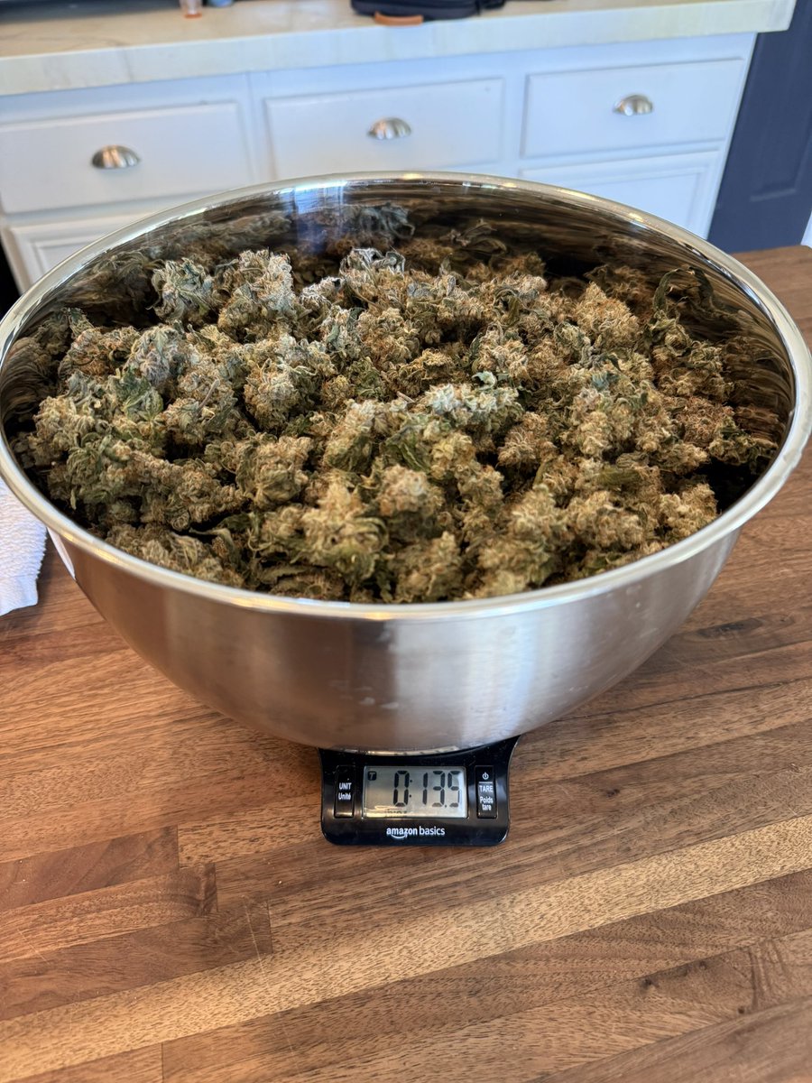 Thefukngoat's tweet photo. Brought her down to 63% before the final trim. Sitting at 12.7oz and holding 61.8% now. She’ll stay sealed overnight—depending where she lands tomorrow, I’ll either burp a little more or call it done, bag &amp; vac.

I’ll dazzle you with some AI charts/data recap in the morning 😉 https://t.co/IX349pBaVd