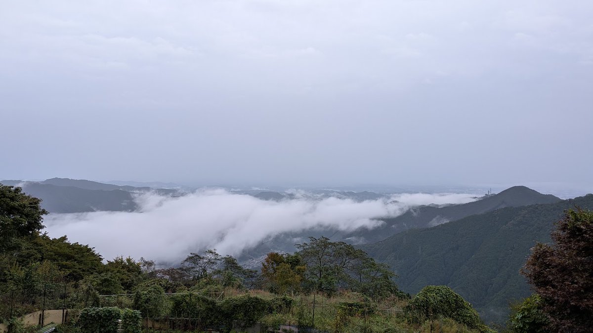 mitakevc's tweet photo. 今日9月29日は標高929ｍの「#御岳山 の日」です！
連日の雨模様ですが、雨がふと止んだ瞬間の景色や雲はとても綺麗です♪山内も静かでのんびりとした雰囲気が楽しめます。
富士峰園地では #アキノキリンソウ や #サラシナショウマ が咲き、レンゲショウマの種も大きくなり、季節の進みを感じますね！ https://t.co/Uo2htbIJUn