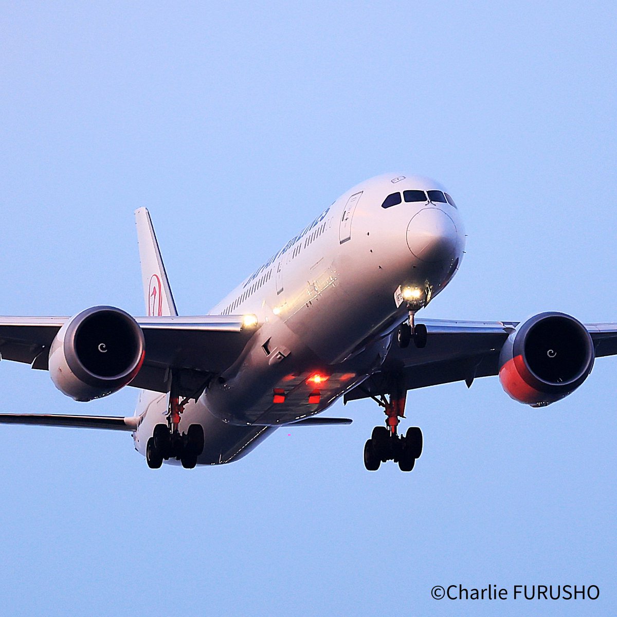 JAL_Official_jp's tweet photo. どうも、JALの中の人です|･ω･)ﾉはろじゃる

澄んだ空気の中を飛ぶボーイング787✈️

光と影のコントラストが
飛行機のフォルムをより立体的に
浮かび上がらせますね✨

今日も1日お疲れさまでした😊 https://t.co/t4rvdh5Pwn