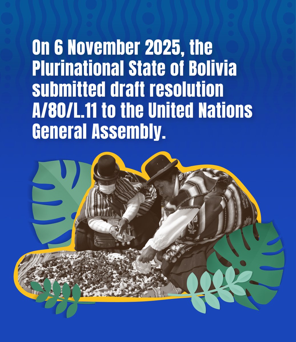IIWF's tweet photo. 🌺 In September 2026, we mark the first global commemoration of the International Day of Indigenous Women and Girls, under the mandate of the United Nations General Assembly.

🌿 This universal recognition is not the beginning of the story: it acknowledges a memory built and sustained over decades by Indigenous Women, organizations, regional networks, movements, and allies.

🌎 For more than 25 years, FIMI has contributed to strengthening this global coordination, amplifying the proposals of Indigenous Women, and connecting their agendas with multilateral spaces.

📣 Now, the challenge is to ensure that this commemoration mobilizes concrete commitments.

We call on States, international organizations, donors, civil society organizations, media, and social movements to:

✊🏽 Listen to the voices and proposals of Indigenous Women and Girls.
🤝🏽 Guarantee their participation in decision-making.
💜 Allocate direct and sustainable resources to their organizations.
📜 Implement CEDAW General Recommendation No. 39.
🌿 Protect their individual and collective rights, territories, and knowledge systems.

✨ The world has recognized this date. Now it must live up to the leadership Indigenous Women have always exercised.

Indigenous Women Have Always Led: Advancing Global Commitment.

#InternationalIndigenousWomenDay #IndigenousWomenLead #IndigenousWomen