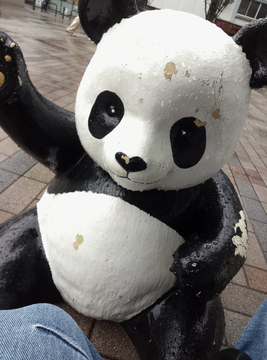 Jade_VRC's tweet photo. ビショ濡れパンダに傘さしてます https://t.co/jSlcopfWtn