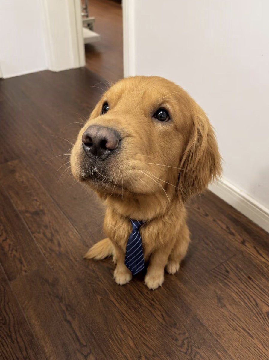 twaniimals's tweet photo. https://t.co/6nY9PFvCko