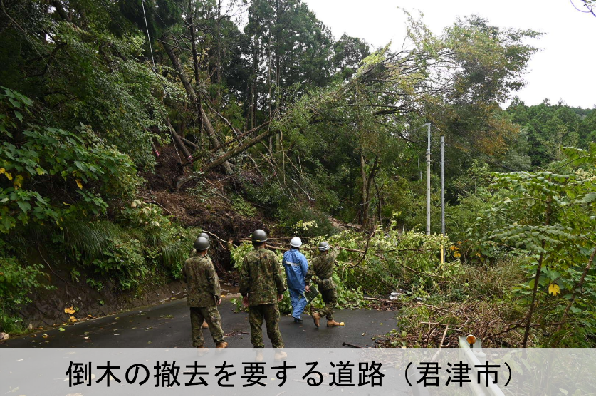 ModJapan_saigai's tweet photo. 千葉県からの要請を受け、自衛隊は本日も千葉県内の各地で活動を実施しております。長生郡長柄町では陸自高射学校（下志津・千葉）が行方不明となっている方の捜索を関係機関と協力して継続しております。
また、陸自第１空挺団（習志野・千葉）が昨日から県内の７市で倒木撤去の活動を開始しており、本日は、市原市・茂原市・君津市・鴨川市・佐倉市・木更津市において、道路啓開のための重機が進入できない、特に優先的な対応が必要な道路で倒木の撤去を行っております。引き続き関係機関が一体となり、一日も早い電力復旧に向け全力で活動してまいります。
