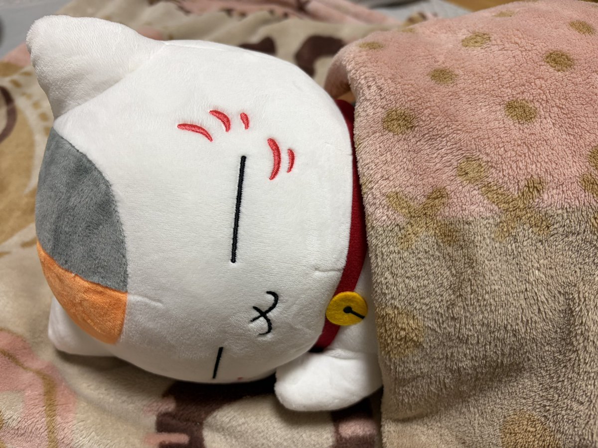 nyankoko28555's tweet photo. 今日は招き猫の日なんだって、先生
…おやすみ、先生 https://t.co/l7Eojp4Uc6