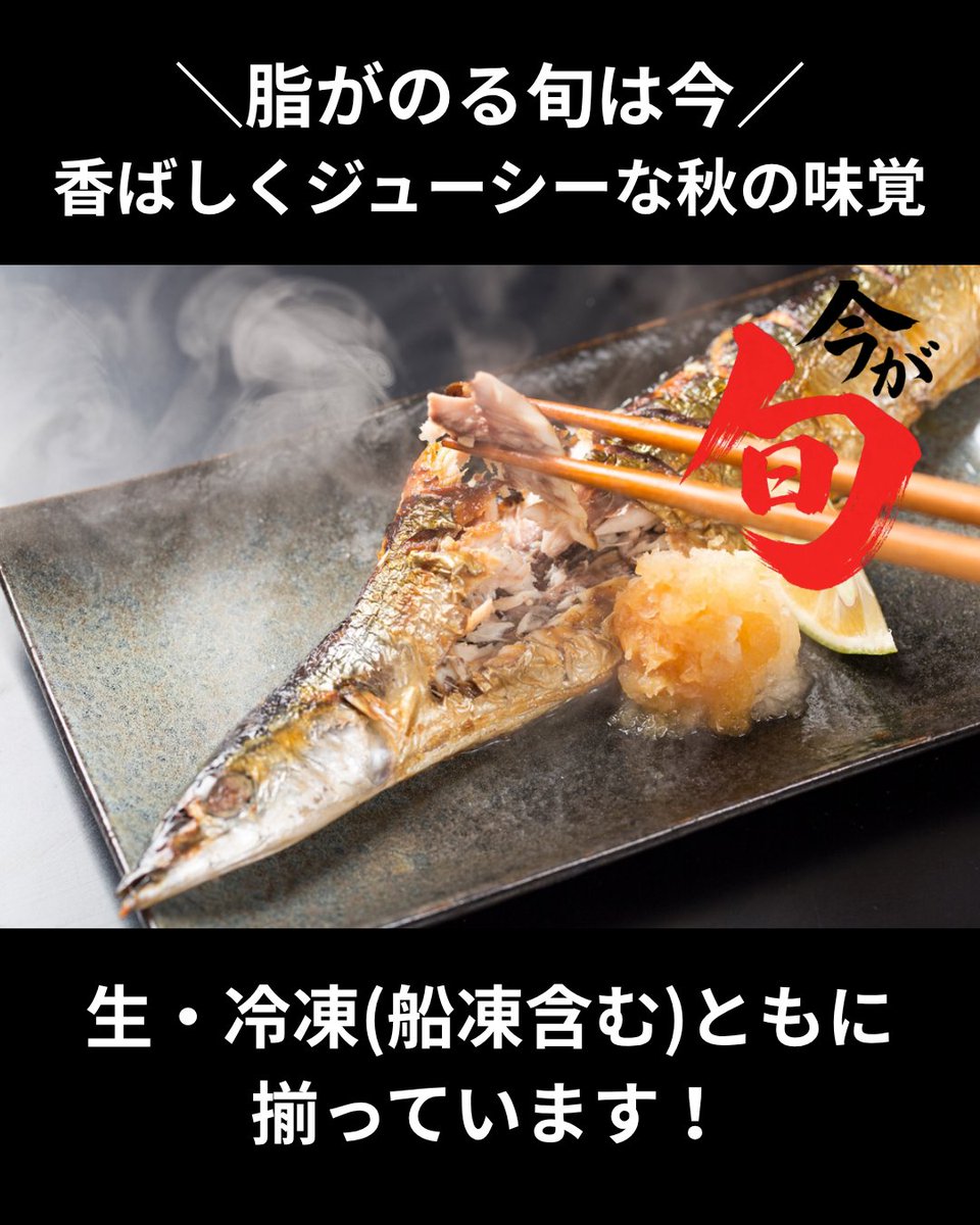 uopochi's tweet photo. 魚ポチ　今日の市況チェック🧐
9/29 　旬の生サンマ
秋の味覚の代表格、サンマがいよいよ旬を迎えました🐟
9〜10月のサンマは、香ばしさとジューシーな旨みが自慢です✨
DHA・EPAといった良質な脂を豊富に含み、栄養面でも見どころたっぷりです😋
定番の塩焼きはもちろん、蒲焼き、竜田揚げ、脂ののったものは刺身でも絶品です📝
秋の看板メニューに、旬のサンマをぜひご活用ください！

詳しくは下のリンクをCHECK！🔍
https://t.co/AgqtG6iLzy
質問などはDMへ →
※飲食店様限定です

#サンマ #旬の魚 #秋の味覚 #仕入れ #魚ポチ