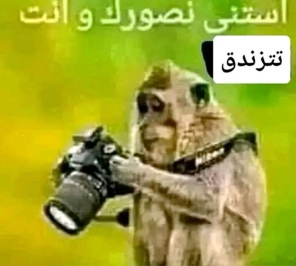 Sa1eh_22's tweet photo. @9_ouir عادي ما ورانا شيء https://t.co/vtlvJOc2dO