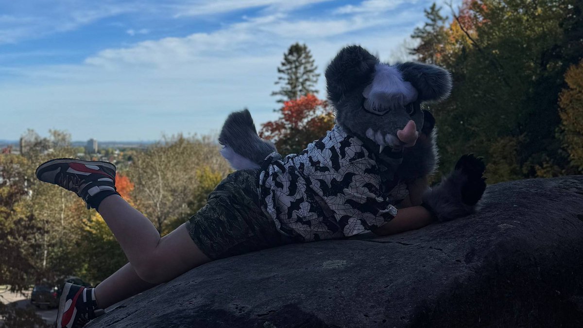 GH0ST_the_bat's tweet photo. It's autumn season~🦇

#furry #furries #furryfandom #fursuit #fursuiter #bat #batfurry https://t.co/uw318GFna3
