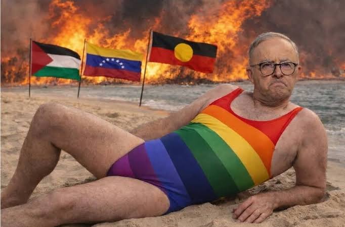 nash_vision's tweet photo. @Ausbobsmit #auspol #albo https://t.co/reMZLVxQ4k