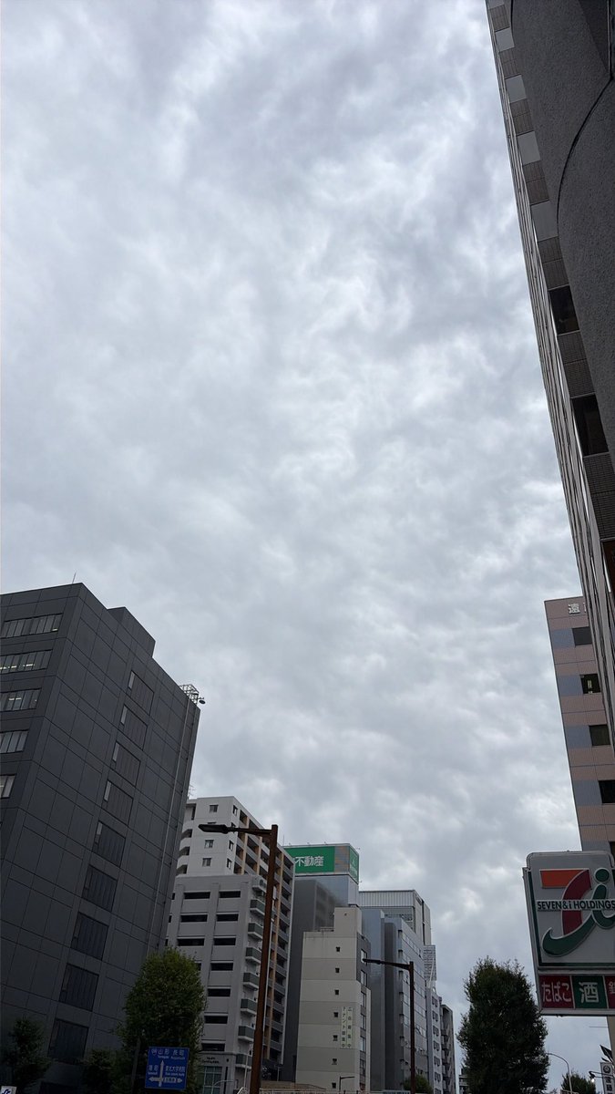 poly_toishun's tweet photo. 今日も曇天 https://t.co/tgPLb4noBX