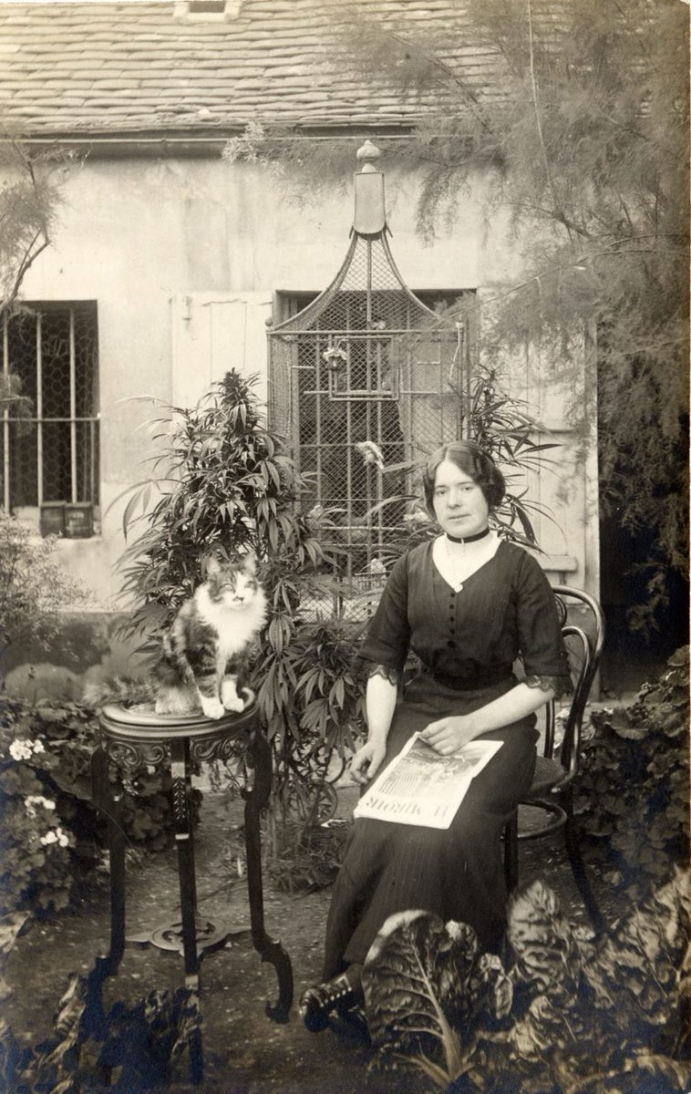 Eternally_Jaded's tweet photo. Parisian woman with her cat in her cannabis garden, 1910 https://t.co/qguiNTQtm8