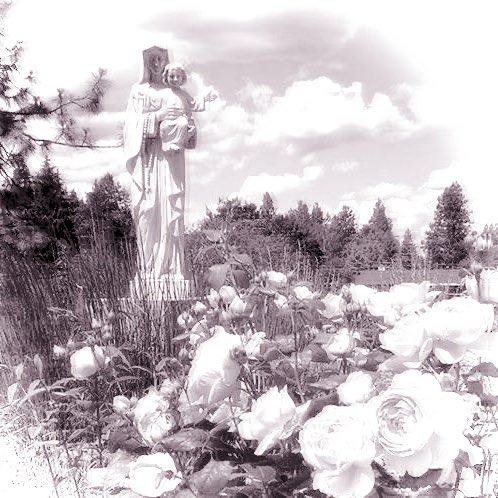 rosycomplex tweet picture