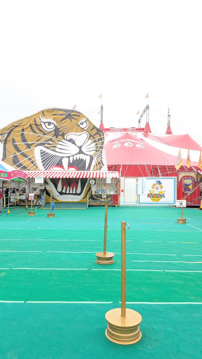 __ECO_POWER's tweet photo. 9/26
木下大サーカス　岡山公演に行ってきました🎪 https://t.co/2IaWb9wSR6