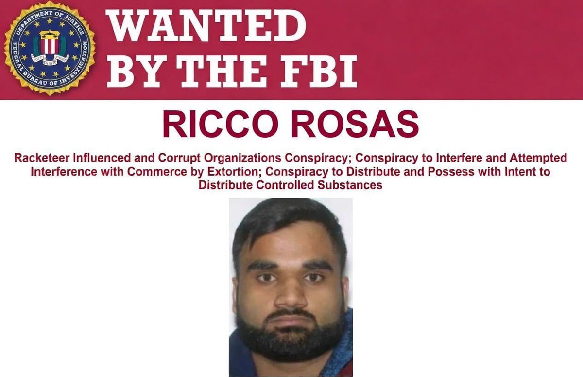 Source media 1 from @riccorosas