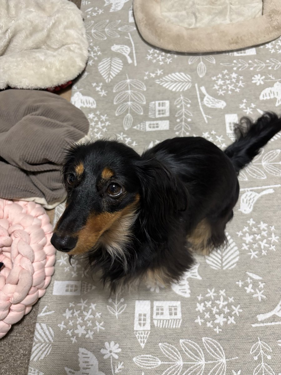 mache_0112's tweet photo. 背中丸いね https://t.co/IVZHUqZS8R