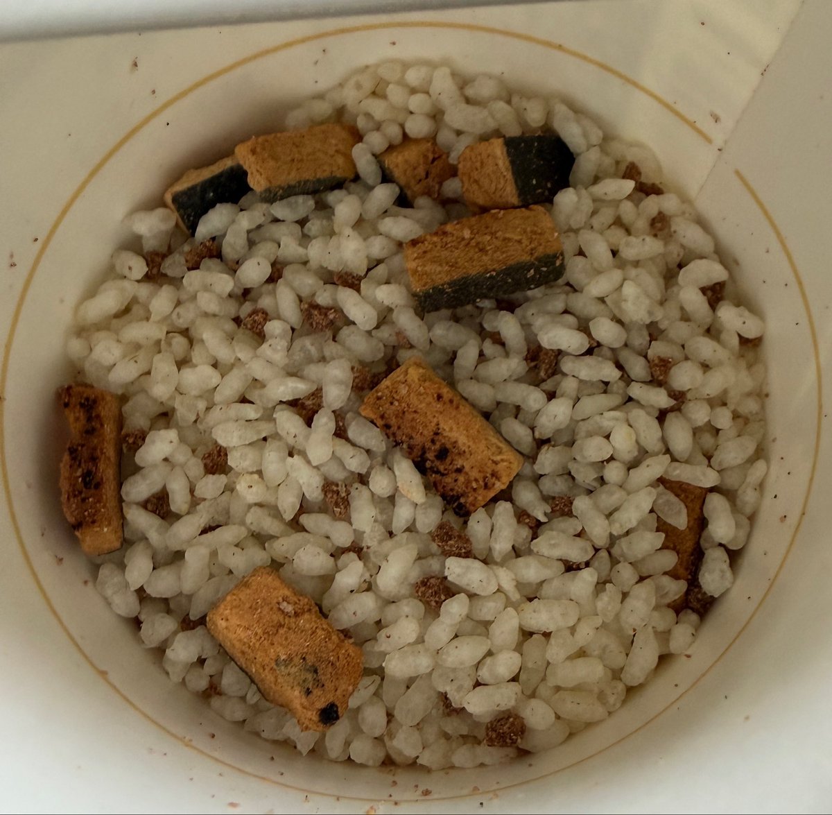 dojochoo's tweet photo. 本物のうなぎが食べたくなった🥺 https://t.co/gPEikgqlna