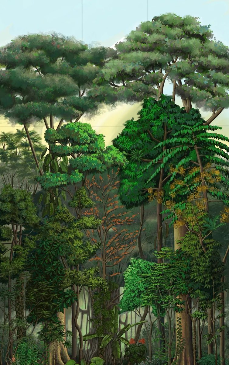 sexual_u's tweet photo. [Cong’s team revealed the secondary results of the forest ecological assessment]， https://t.co/8eYGMHz7zt