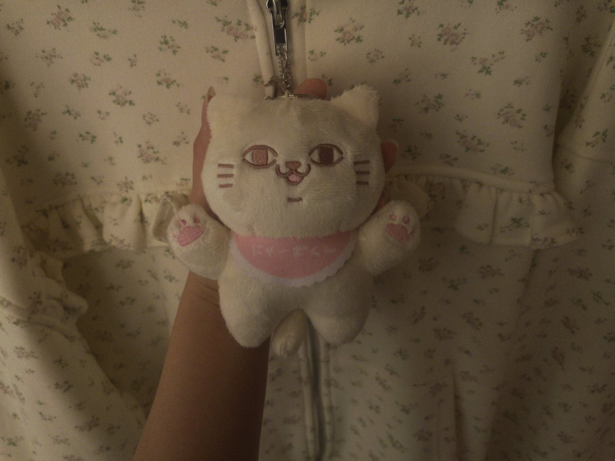 xellpr_2's tweet photo. ずっと待ってたのが届いた~♡
にゃーむくんのぬいぐるみ..🐈
 #かれんくんへ https://t.co/fR0aaaBrhQ