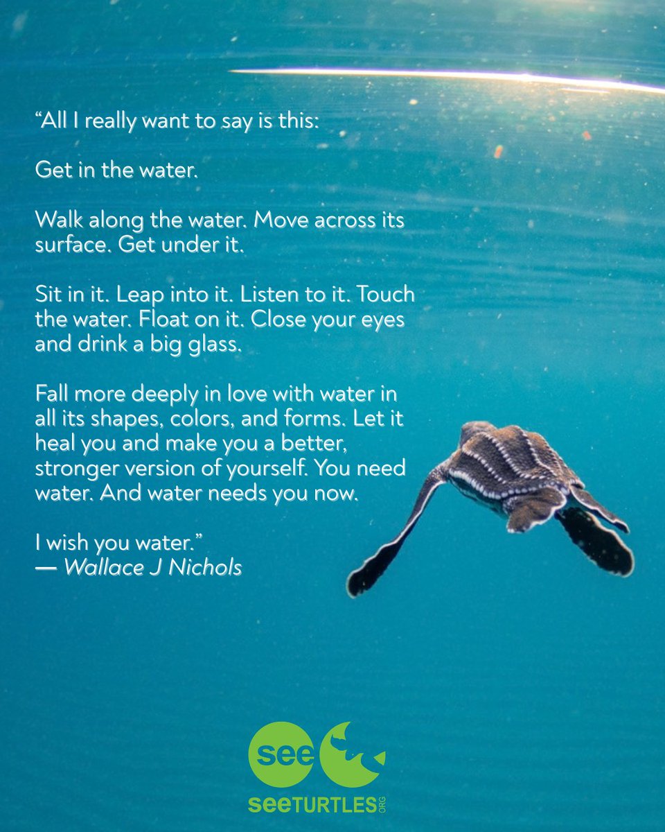 SEEturtles's tweet photo. Wise words from our late co-founder, Wallace J. Nichols.

“I wish you water.” https://t.co/scbXcUbWj6