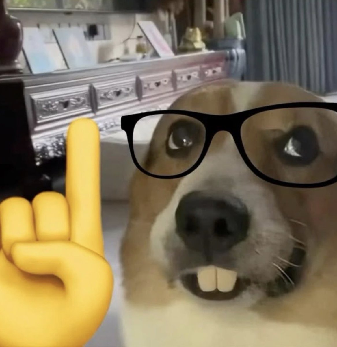 Adlozlaw's tweet photo. aww ad hominem in display, ricky?

pls go bck to basic science, n logic philo instead of being drunk , ricky.😂🙏🏻

Ricky: “cat and dog both hv four legs and made of carbon.  so theyre the same!” https://t.co/z8rDZUay6G
