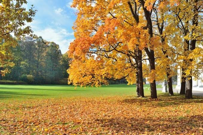 jessicafdler's tweet photo. Do you like autumn scenery? @United States https://t.co/vIYdjVvUXm