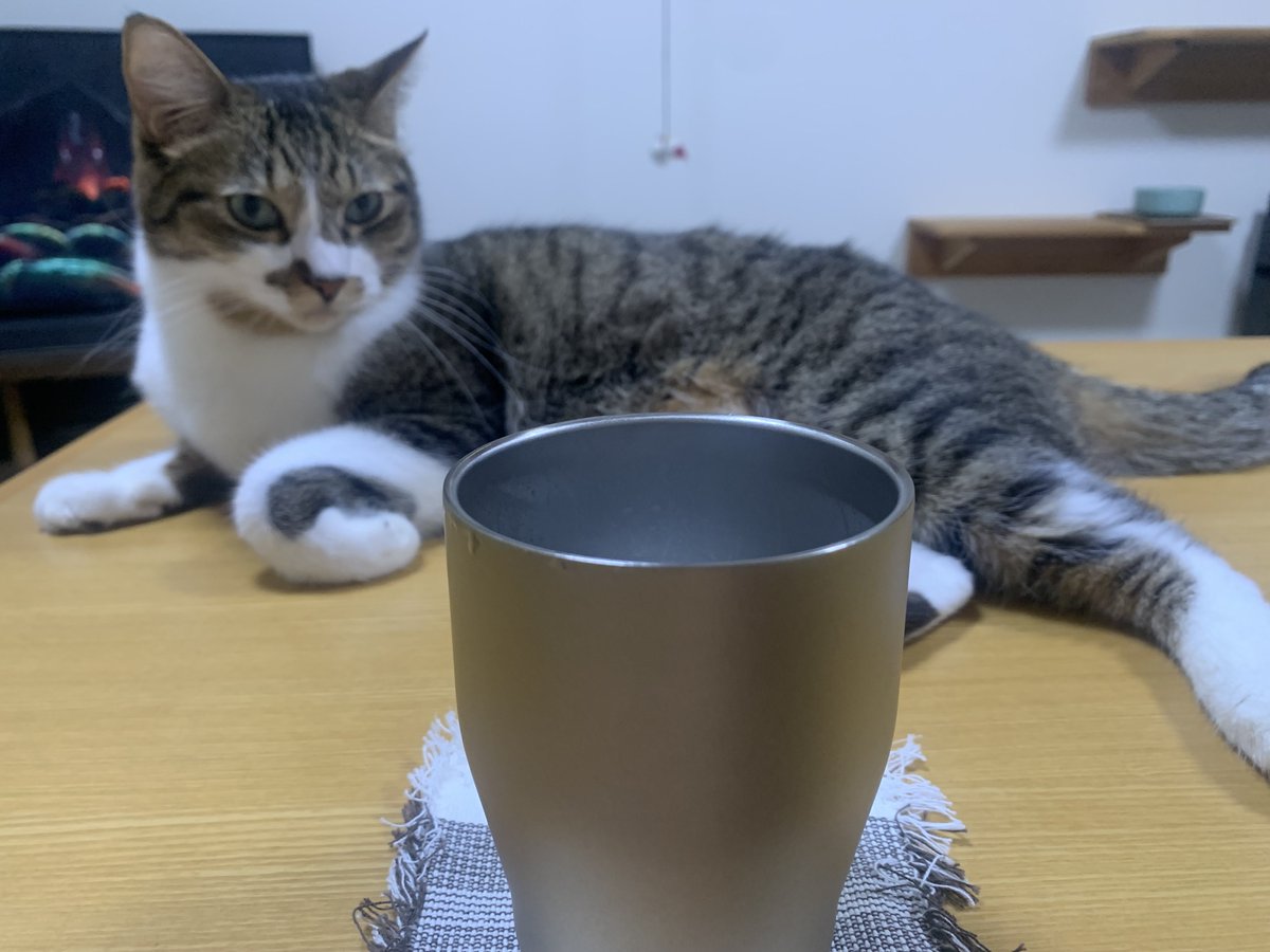 tepsai's tweet photo. かえりたい https://t.co/MzhrVJFBfC