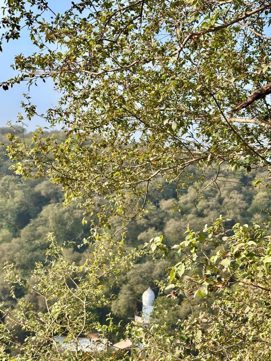 SaveAravali's tweet photo. Register for upcoming Yatra to feel the soothing wilderness of Aravalis!

https://t.co/vw5eNOw9zs 

Further details shall be shared with the registered members.

Be a part of the change,
9773534107
#savearavali https://t.co/H8Jv3HzxGU