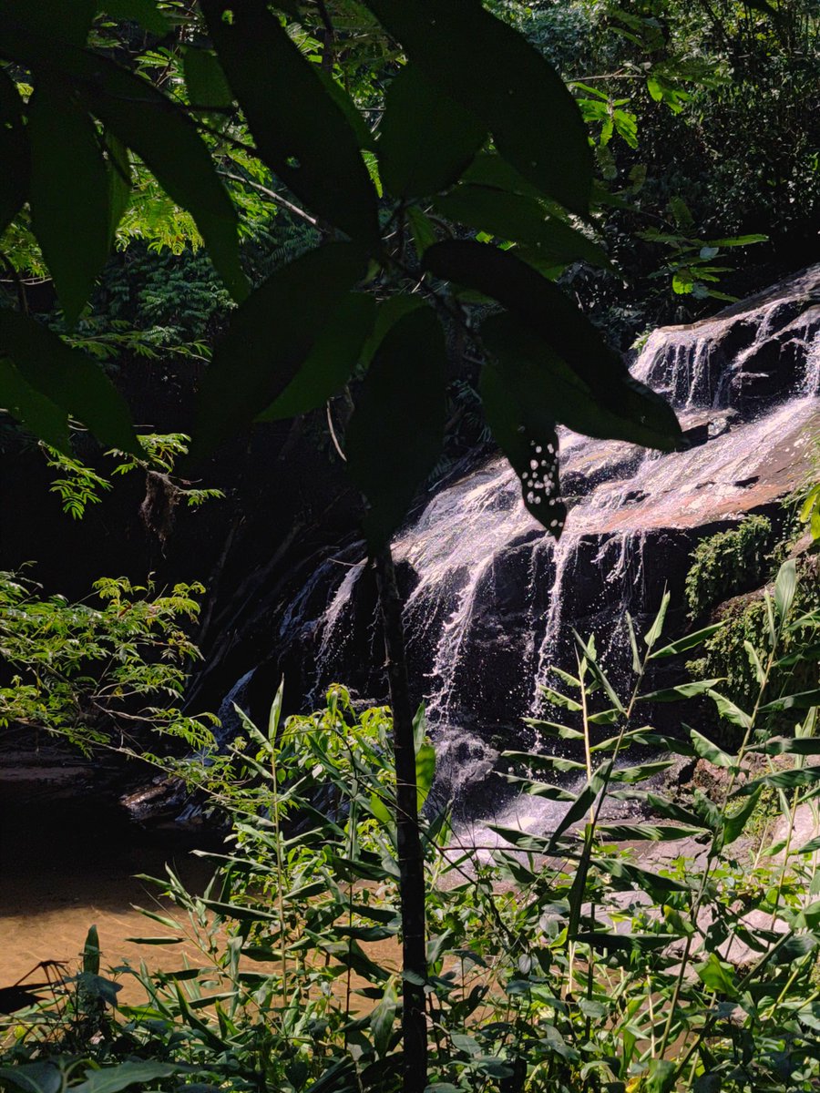 ielsondj's tweet photo. saudade do rio.
#voltario https://t.co/ATFftK3im9