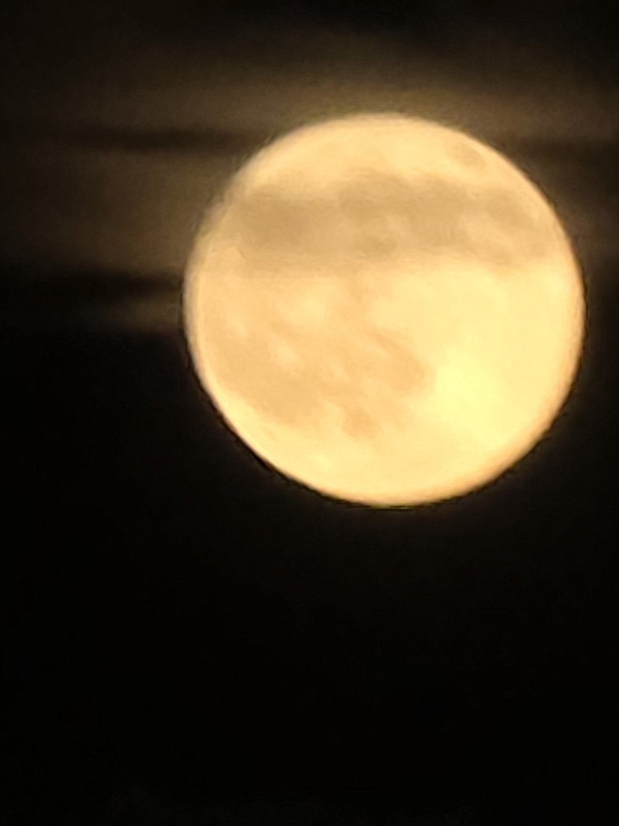 florlvsale's tweet photo. alejandro sabe que él es la luna y que todos los dias escucha las plegarias de gabriel para estar aunque sea unos minutos con su amada luna🌙❤️‍🩹 https://t.co/QqcDXEr3Q6