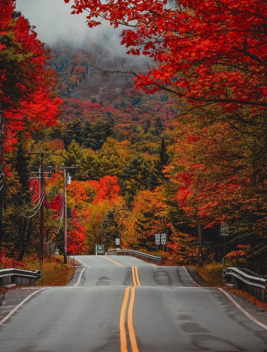 naturebeauty760's tweet photo. Fall in New England https://t.co/PsuvYbY9Fr