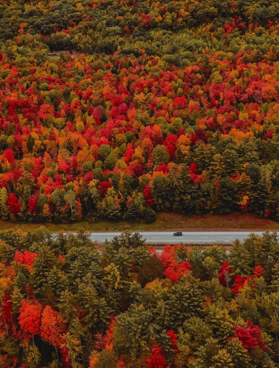 naturebeauty760's tweet photo. Fall in New England https://t.co/PsuvYbY9Fr