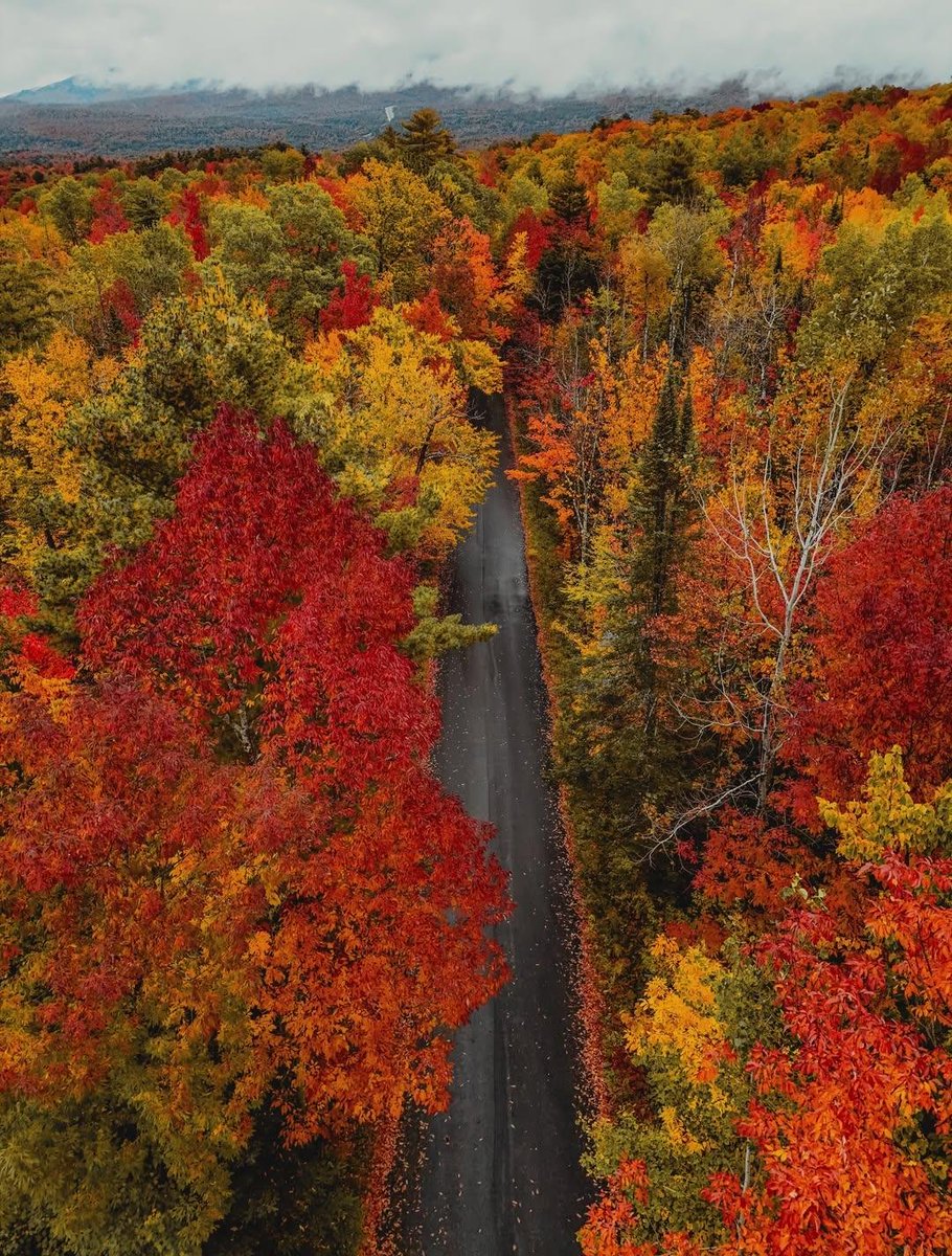 naturebeauty760's tweet photo. Fall in New England https://t.co/PsuvYbY9Fr