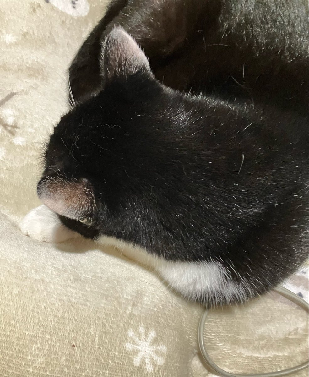 ma1_me2's tweet photo. 行ってくるね。BYE👋 https://t.co/2utQ37e2NR