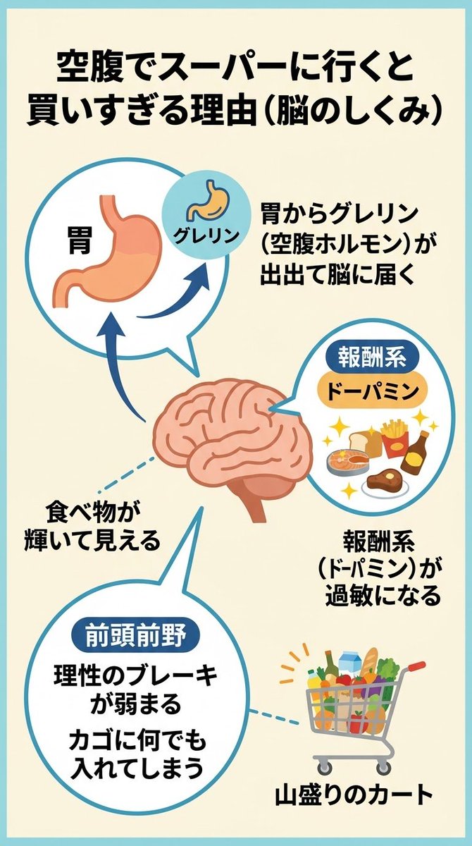 T_changemama's tweet photo. 痩せたいママは

買い物行く前に、絶対なんか食べて！

私はおにぎり食べてます。 https://t.co/FqHvhg07OQ