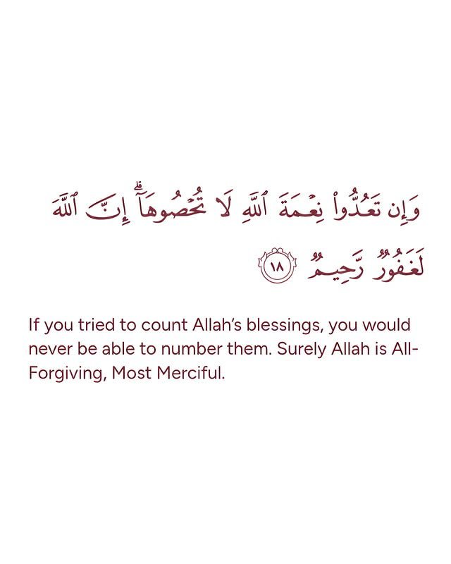 Muslim__Ummah_'s tweet photo. https://t.co/rBAp7mIHK2