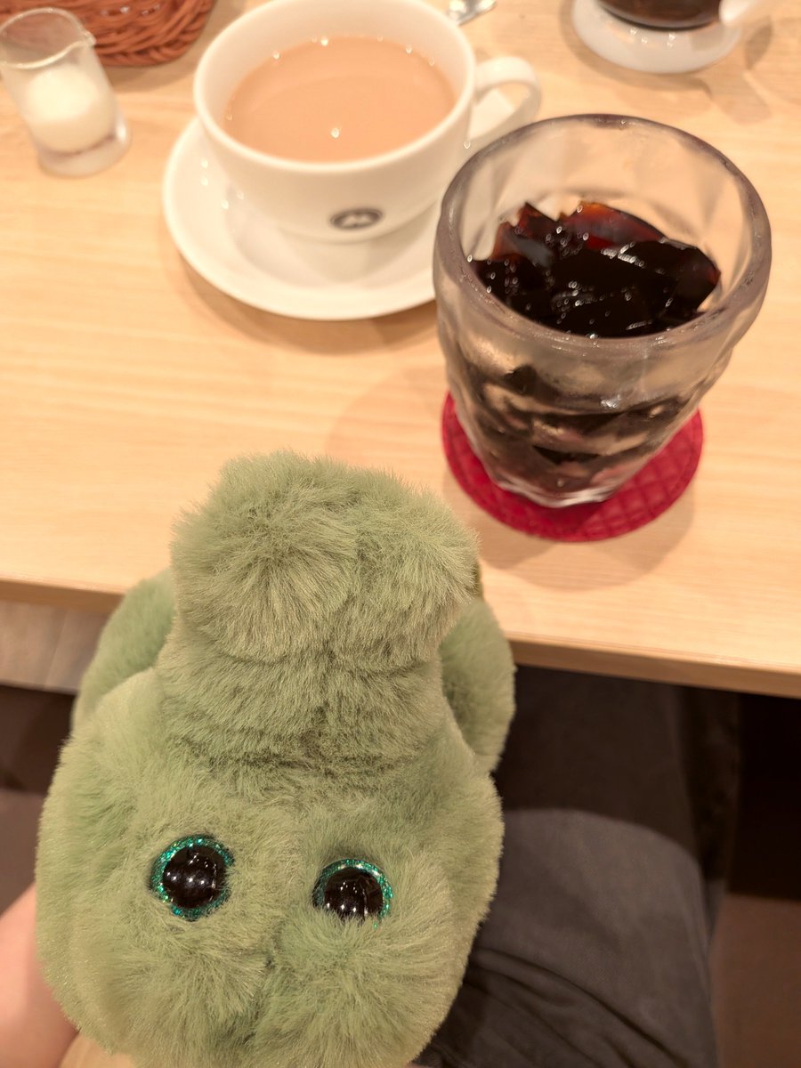 bowwowpumpkin's tweet photo. 喫茶店のコーヒーゼリーだよ☕

#ワーリ��� #うちのワーリー https://t.co/WQ6TJN2rgM