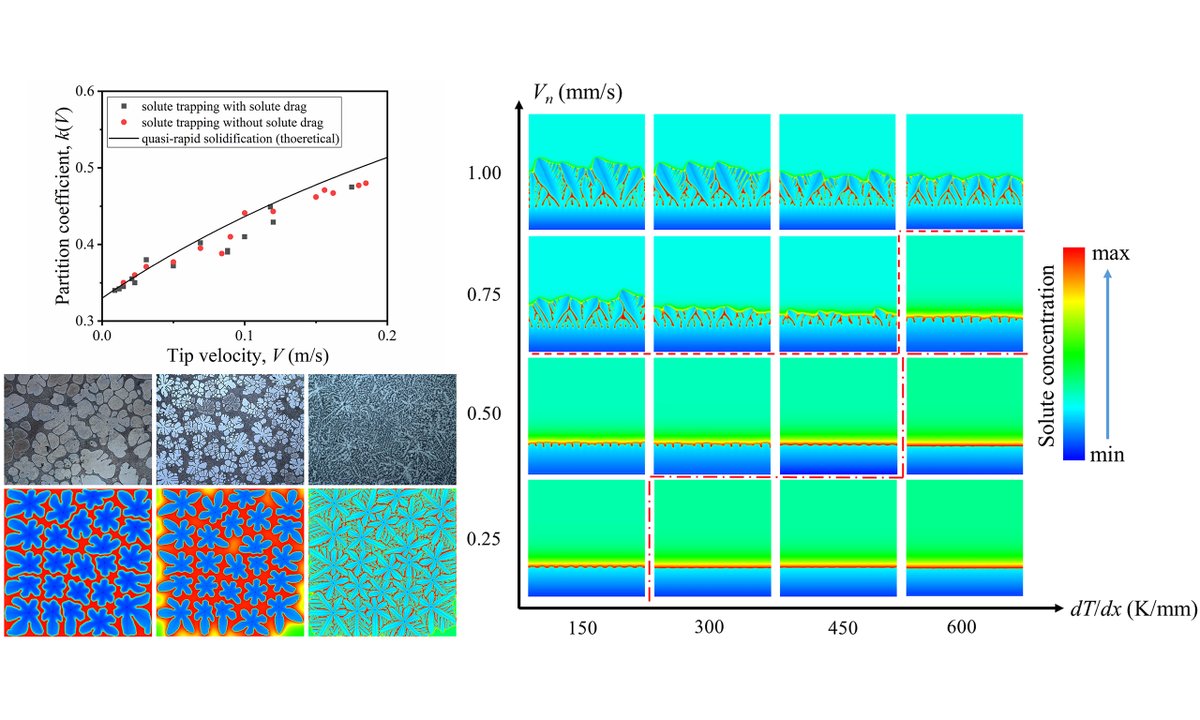 Micro_OAE's tweet photo. Non-equilibrium dendrite evolution in Mg‑Al alloy under quasi-rapid solidification.
#PhaseField simulations + experiments reveal the impact of cooling rate on dendrite morphology & solute trapping.
Supports #microstructure control for #MagnesiumAlloy die casting. https://t.co/b1R3zzdSmd