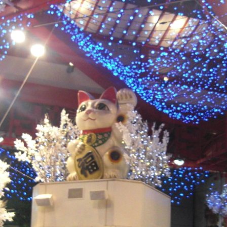 ARATASHR's tweet photo. 今日は #招き猫の日 だが、
#名古屋 の #大須 には #招き猫 がいる! https://t.co/MBHDXJntDl