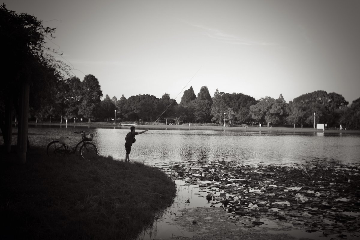 DrYamanouchi's tweet photo. 📷今日のイチマイ-1603📷
『Angler』
のんびりした一日..🎣
M-PとElmar 35の組み合わせ、優しい描写で好き👍
Leica M-P typ240+Leitz Elmar 3.5cm f3.5 (1938)
*Film Mode=BW(JPG)
#Leica
#オールドレンズ
#Elmar
#釣り https://t.co/Rf6rRSPugk