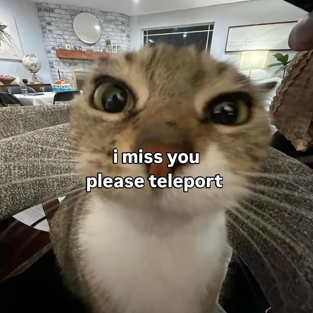 catsworldaura's tweet photo. https://t.co/giiSjvUqQ1