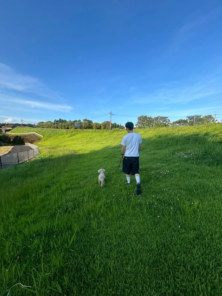 TopsBison8z's tweet photo. The field comes back around, without making a fuss. Some nights feel like a worn coat you still keep. ☁️🍂 https://t.co/QhZ1g2f5dJ