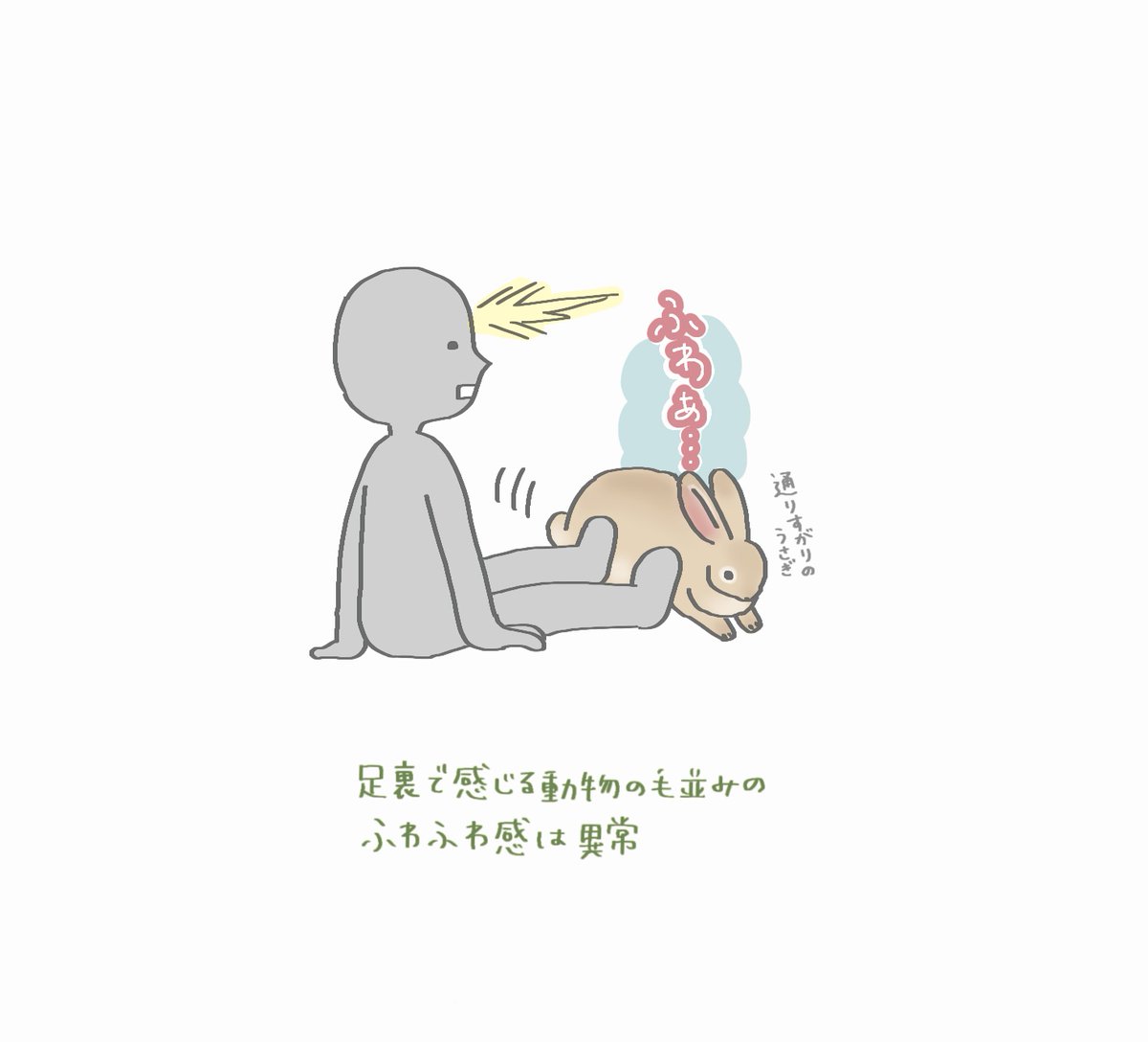 booboousag's tweet photo. 足の裏で動物の毛に触れた時、手で触るより5倍増しぐらいふわっっふわに感じる https://t.co/bA3H26IIRN