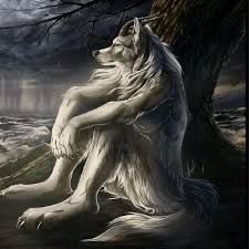 jkm_moon's tweet photo. Soy una loba silenciada no puedo responder nada 💔 https://t.co/mvqCJvbrlu