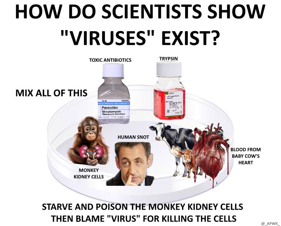 Whatever1297291's tweet photo. @ScottFishman Viruses do not exist. 
How could you develop vaccines for something that doesn't exist? They exist "in silico" only = computer simulation. https://t.co/1Ms3pzKx2I