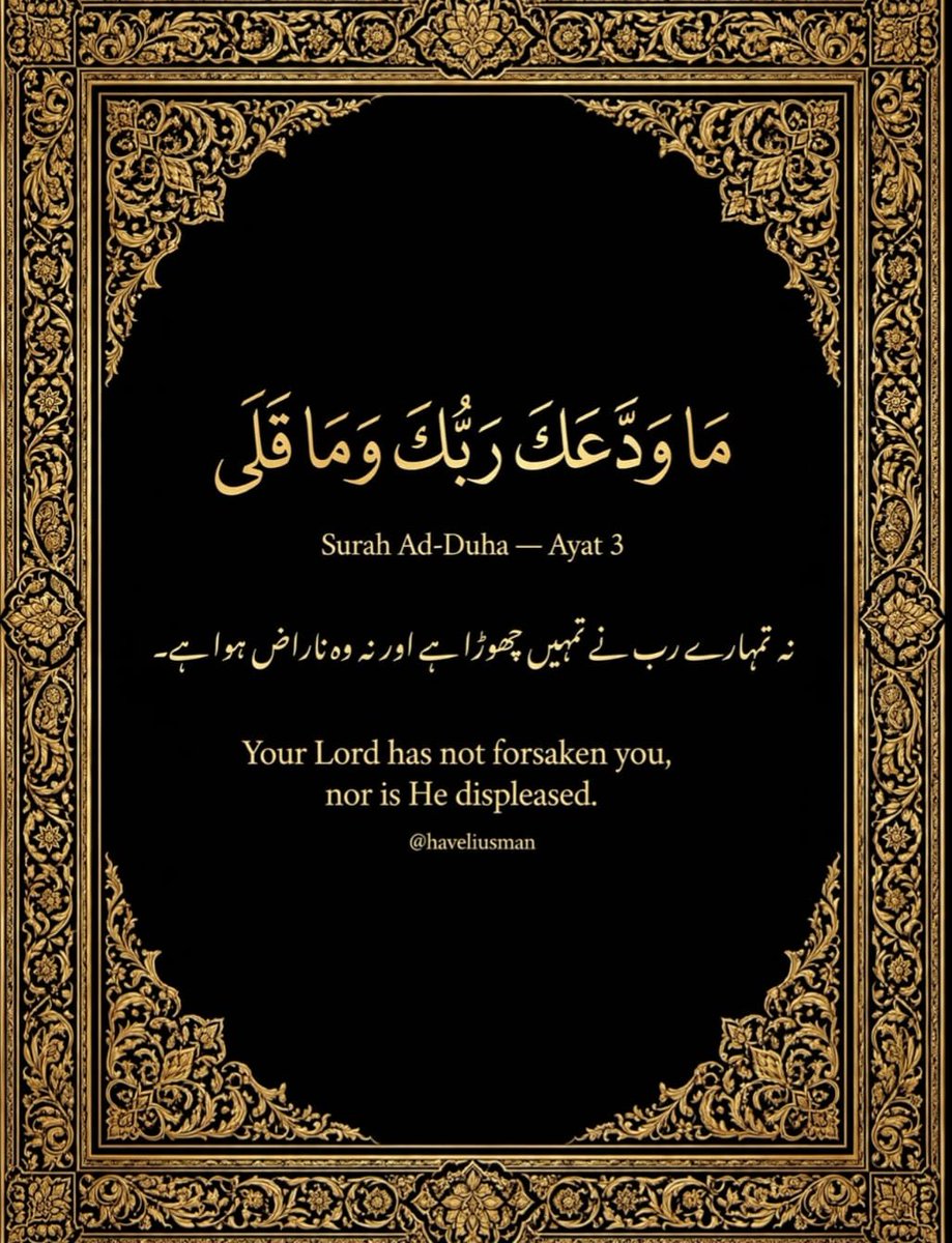umer_faruq1's tweet photo. https://t.co/xxMtAzJ9zK