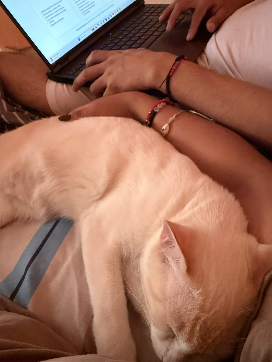 anialu26's tweet photo. Una familia tradicional, si que si ❤️

Somos la triple A🥺 https://t.co/dt4s8eZbNv