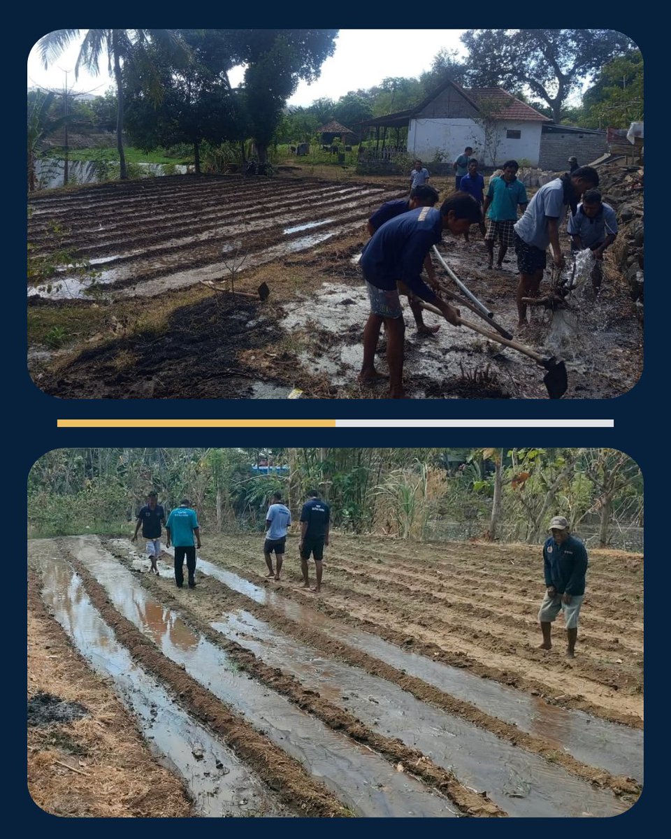 RutanRaba's tweet photo. Dukung Asta Cita Presiden, Rutan Raba Lakukan Pengairan Irigasi Tanaman di Kebun SAE

#Kemenimipas #AgusAndrianto #DitjenPAS GunGunGunawan #KetutAkbarHerryAchjar #DitjenPASNTB RBKunwas https://t.co/aVZ2wMWRnD